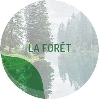 La forêt